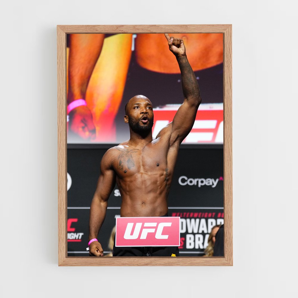 Poster Daniel Petter: La Star du Ring – affiche MMA (vue 4)